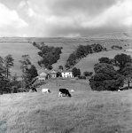 Dentdale Farm